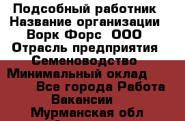 Подсобный работник › Название организации ­ Ворк Форс, ООО › Отрасль предприятия ­ Семеноводство › Минимальный оклад ­ 30 000 - Все города Работа » Вакансии   . Мурманская обл.,Апатиты г.